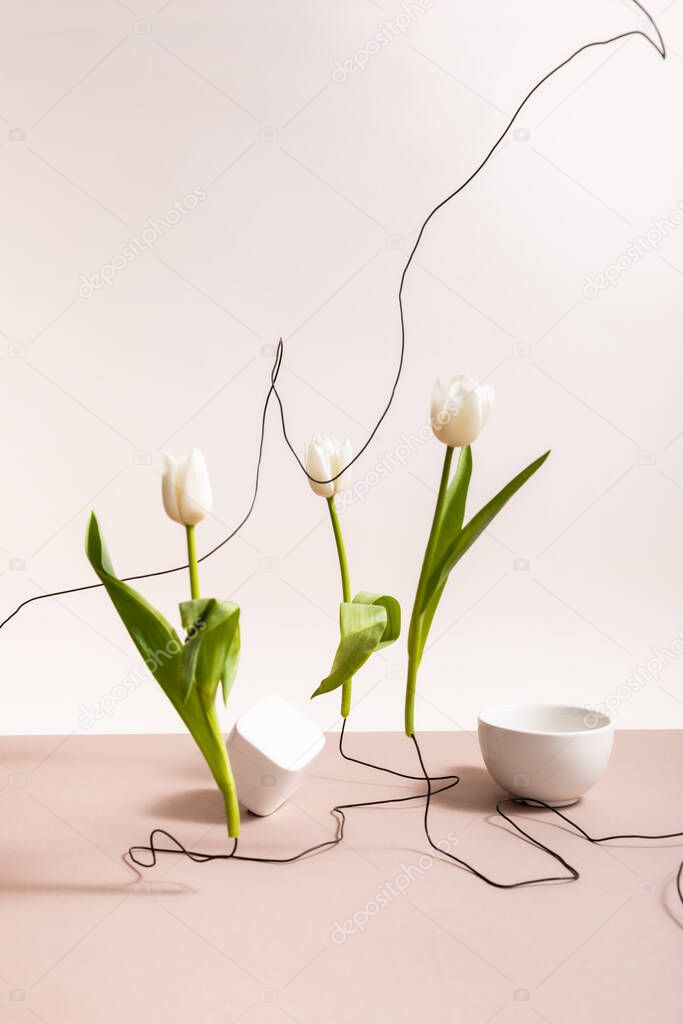 creative floral composition with tulips on wires, cup and square cube isolated on beige