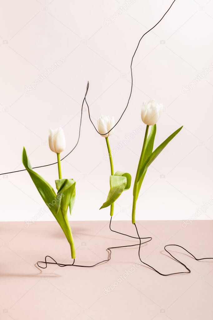 creative floral composition with tulips on wires isolated on beige