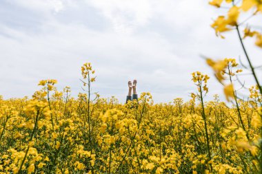 cropped view of barefoot woman near yellow flowers in field against sky  clipart