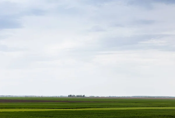 Céu Nublado Perto Grama Verde Campo — Fotografia de Stock