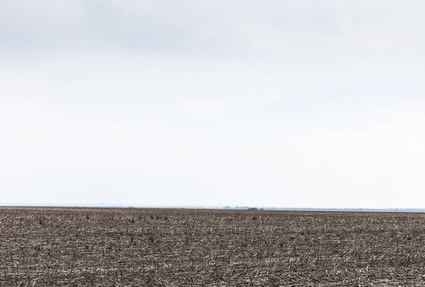 земля с землей против облачного неба летом
 