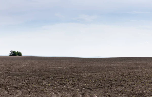 Země Půdou Proti Modré Obloze Mrakům — Stock fotografie