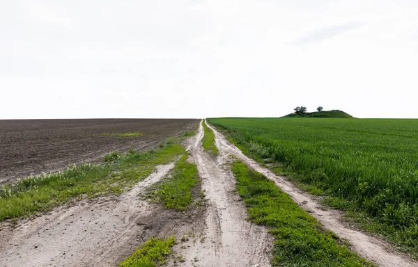 Ścieżka Pobliżu Świeżej Trawy Letnie Pole Przed Zachmurzone Niebo — Zdjęcie stockowe