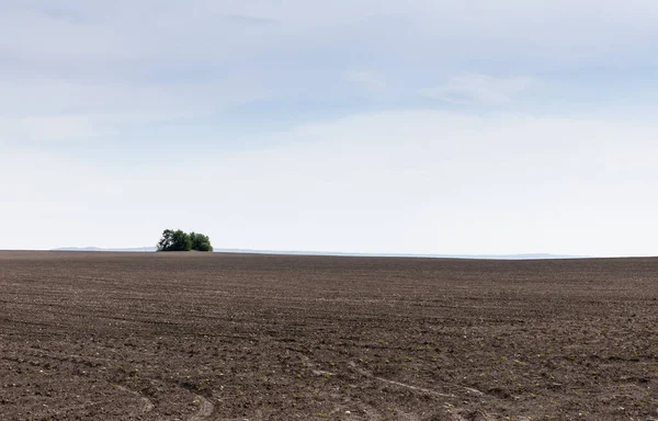 ground on land against blue sky and clouds 