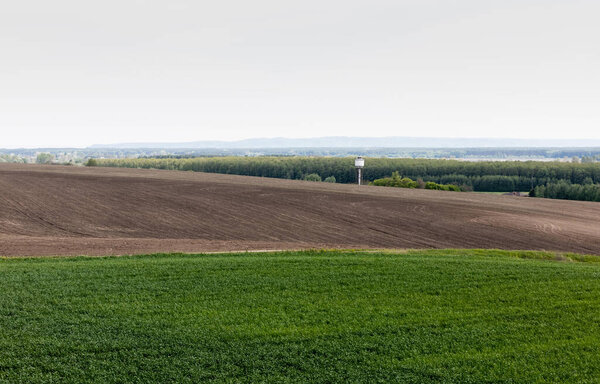 trees and plants near grassy field against sky 