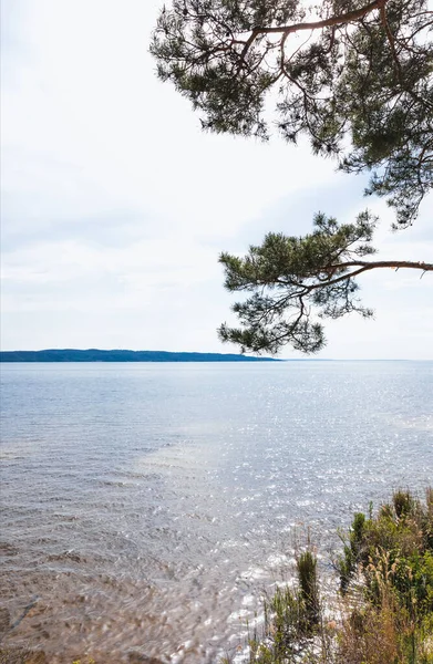แสงแดดบนต นสนส ใกล ทะเลสาบท ยบสงบในฤด — ภาพถ่ายสต็อก