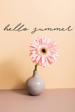 Merhaba yakınlarındaki vazoda pembe Gerbera bej harflerle yazılmış. 