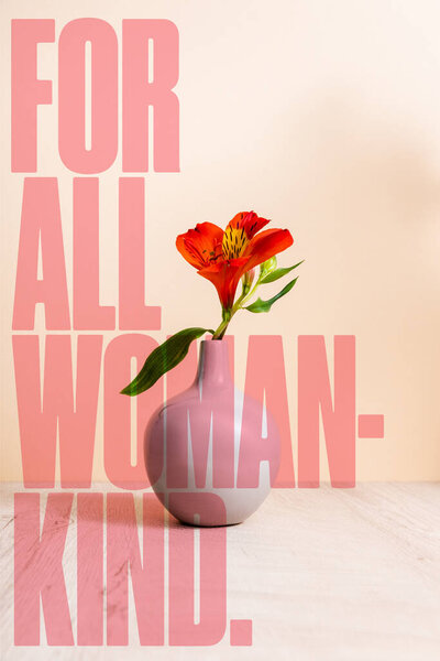 Alstroemeria in vase near for all woman-kind lettering on beige