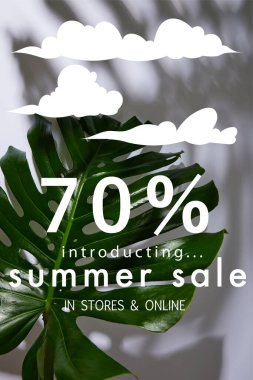 Beyaz arka planda taze tropikal yeşil yaprak ve yaz indirimi illüstrasyonu