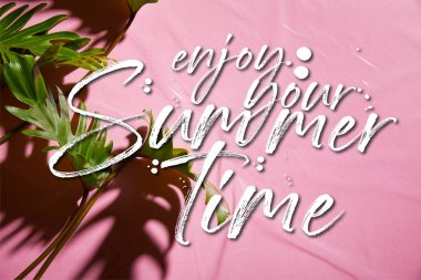 Pembe plastik arka planda taze tropikal yeşil yaprakların üst görüntüsü. Yaz dönemi çiziminizin keyfini çıkarın.