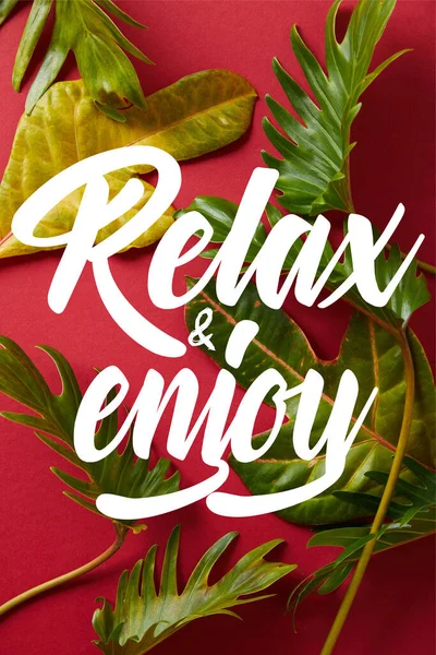Top View Tropical Green Leaves Red Background Relax Enjoy Illustration — Stock Photo, Image