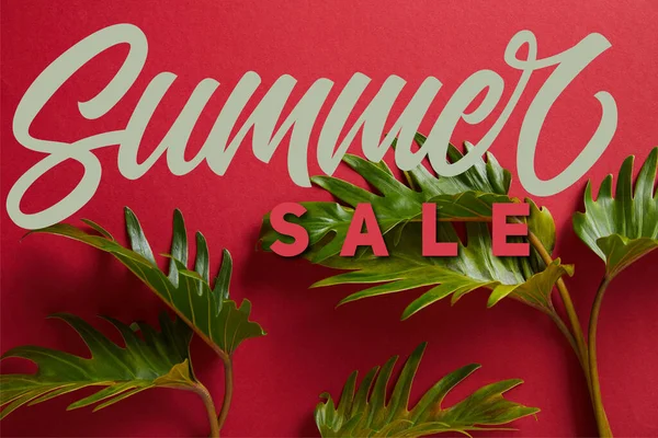 Top View Tropical Green Leaves Red Background Summer Sale Illustration — Stok Foto