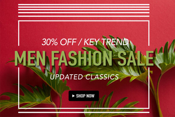 top view of tropical green leaves on red background with men fashion sale illustration