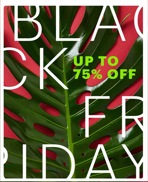 红色背景的热带绿叶顶部视图 并附有黑色星期五销售图解 — 图库照片