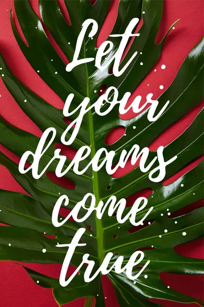 Top View Tropical Green Leaf Red Background Let Your Dreams — Stock Photo, Image