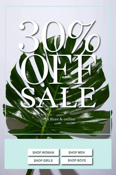 Fresh Tropical Green Leaf White Background Sale Illustration — Stock Photo, Image