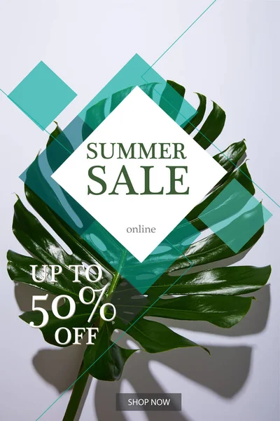 Fresh Tropical Green Leaf White Background Summer Sale Illustration — Stock Photo, Image