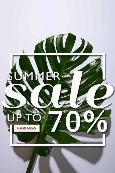 Fresh Tropical Green Leaf White Background Summer Sale Illustration — Stock Photo, Image