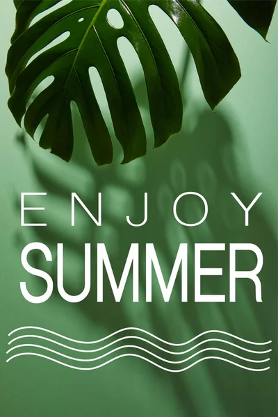 Frisches Tropisches Blatt Auf Grünem Hintergrund Mit Sommerlicher Illustration — Stockfoto