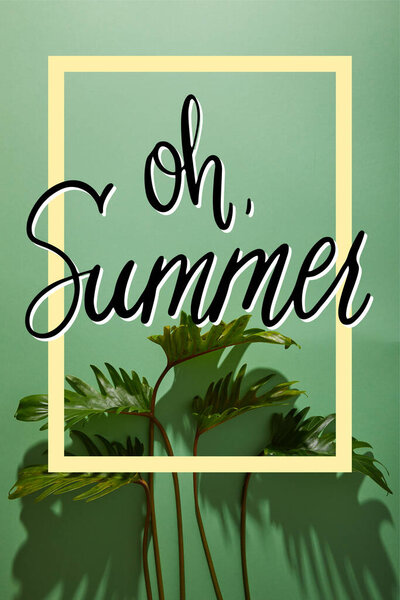 fresh tropical green leaves on green background with oh summer illustration