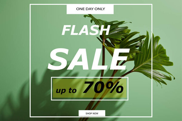 fresh tropical green leaves on green background with flash sale illustration