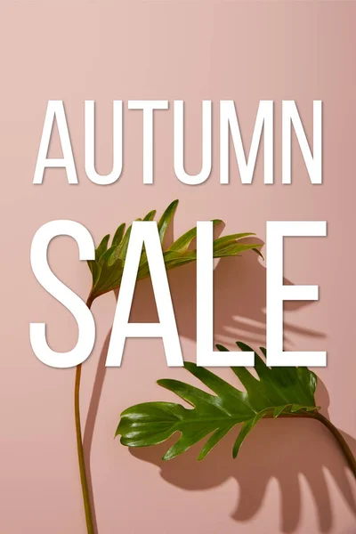 Fresh Tropical Green Leaves Pink Background Autumn Sale Illustration — Stock Photo, Image