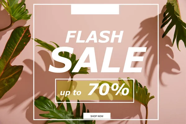 Fresh Tropical Green Leaves Pink Background Flash Sale Illustration — Stock Photo, Image