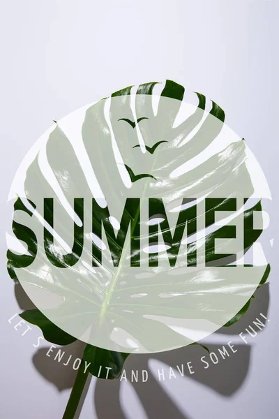 Frisches Tropisches Grünes Blatt Auf Weißem Hintergrund Mit Sommerlicher Illustration Stockbild