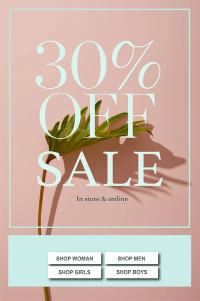 Fresh Tropical Green Leaf Pink Background Sale Illustration Stock Photo