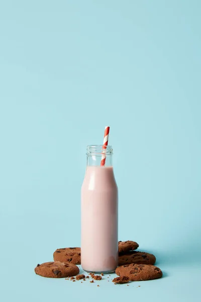 Vista close-up de milkshake de morango em garrafa com palha de bebida cercada por biscoitos de chocolate no fundo azul — Fotografia de Stock