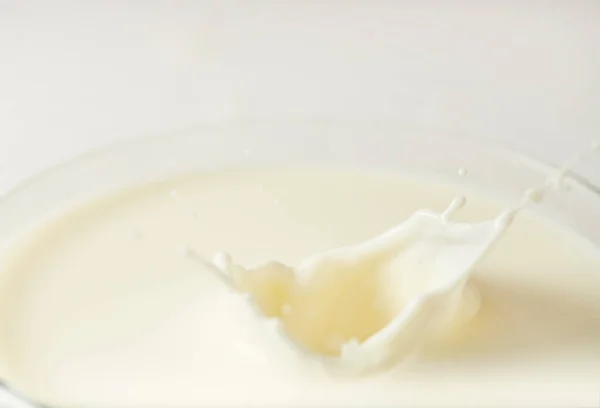 Nahaufnahme von Milchspritzern isoliert auf weißem Hintergrund — Stockfoto