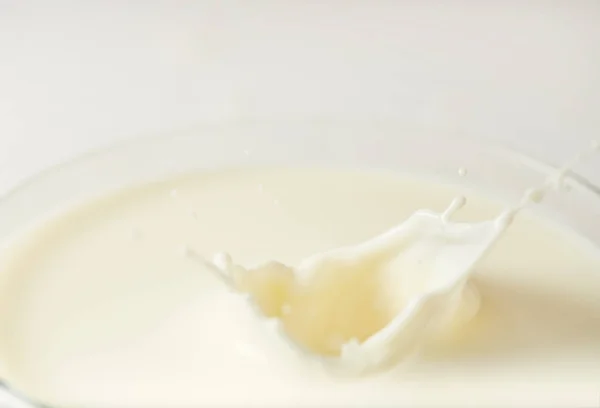 Vista de cerca de salpicaduras de leche aisladas sobre fondo blanco - foto de stock