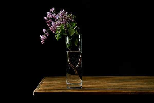 Close-up shot of branch of lilac flowers in glass on wooden table isolated on black — Stock Photo