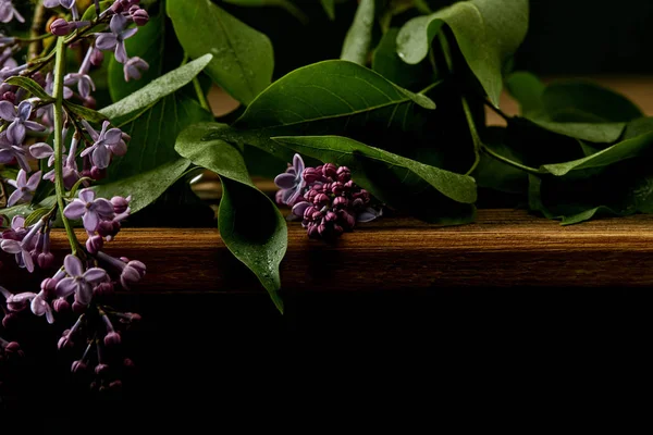 Plano plano de flores y hojas de lila aromáticas sobre una superficie de madera aislada en negro - foto de stock