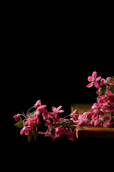 Close-up shot of aromatic pink cherry flowers lying on wooden tabletop — Stock Photo