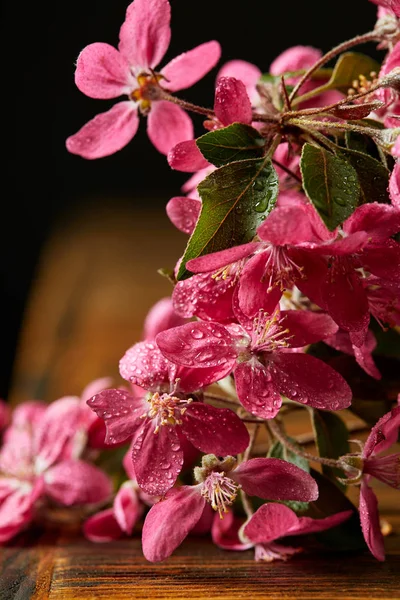 Close-up tiro de bela flor de cereja rosa deitado na superfície de madeira — Fotografia de Stock