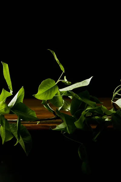 Close-up shot of cherry branch with leaves lying on wooden tabletop isolated on white — Stock Photo