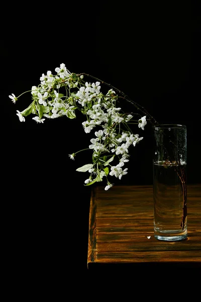 Close-up shot of branch of beautiful cherry blossom in vase on wooden table isolated on black — Stock Photo