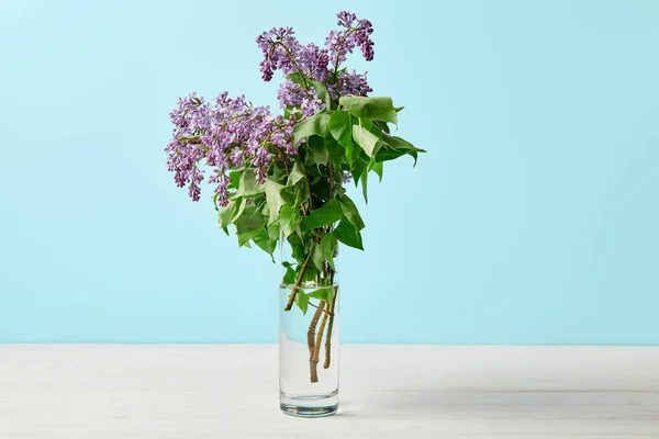 Primer plano de hermosas flores de primavera lila en jarrón aislado en azul - foto de stock