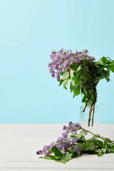 Крупним планом знімок красивих весняних бузкових квітів у склі ізольовані на синьому — стокове фото