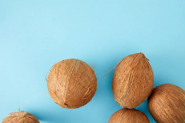 Vue de dessus des noix de coco disposées isolées sur bleu — Photo de stock