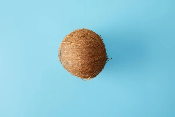 Vista superior de coco fresco aislado en azul - foto de stock