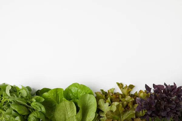 Top view of various leaf vegetables on white surface — Stock Photo