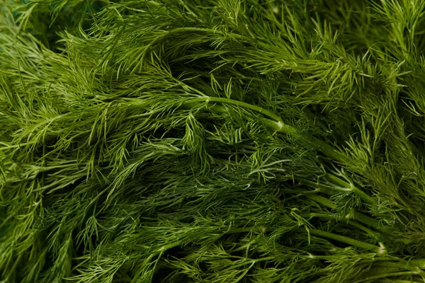 Full frame shot of fresh dill for background — Stock Photo