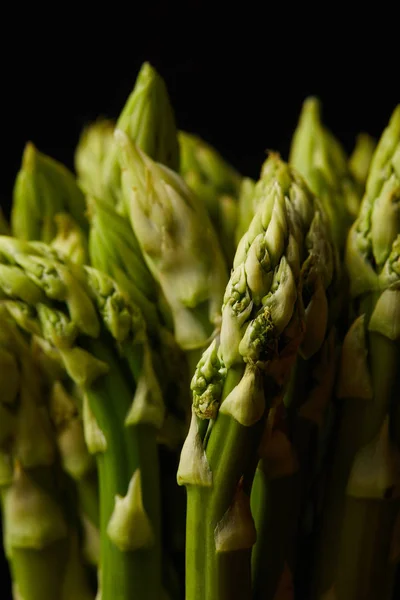 Close-up shot of asparagus bunch isolated on black — Stock Photo