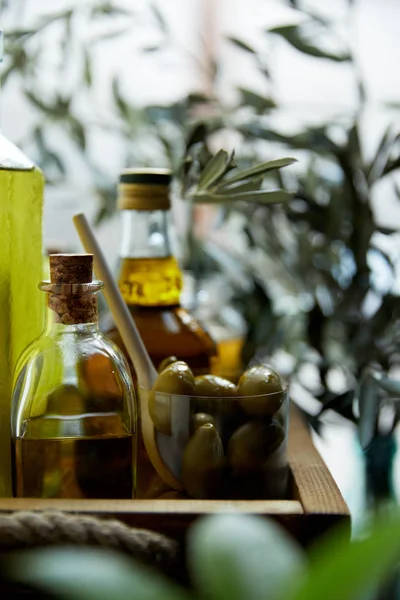 Close up image of glass with spoon and green olives, bottles of aromatic olive oil with and branches on wooden tray — Stock Photo