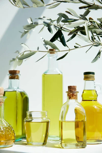 Varias botellas de aceite de oliva aromático, ramas y frasco en la mesa blanca - foto de stock