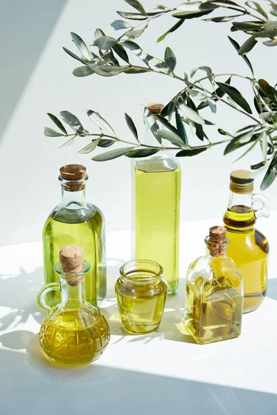 Various bottles of aromatic olive oil, branches and jar on white table — Stock Photo