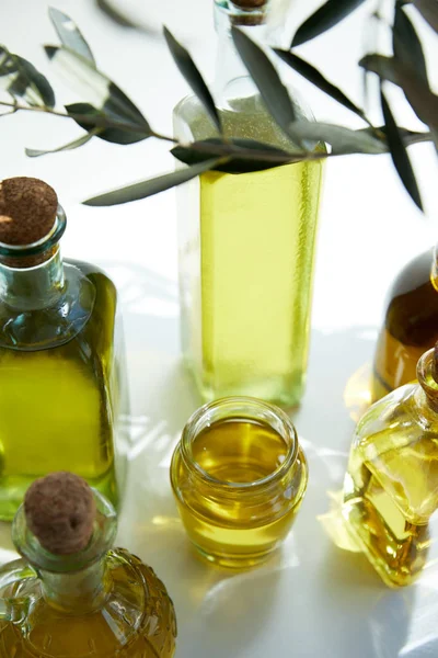 Vista ravvicinata di varie bottiglie di olio d'oliva aromatico, ramo e vaso su tavola bianca — Foto stock