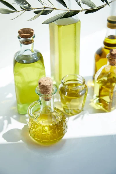 Крупный план бутылок с ароматическим оливковым маслом, ветки и банки на белом столе — стоковое фото